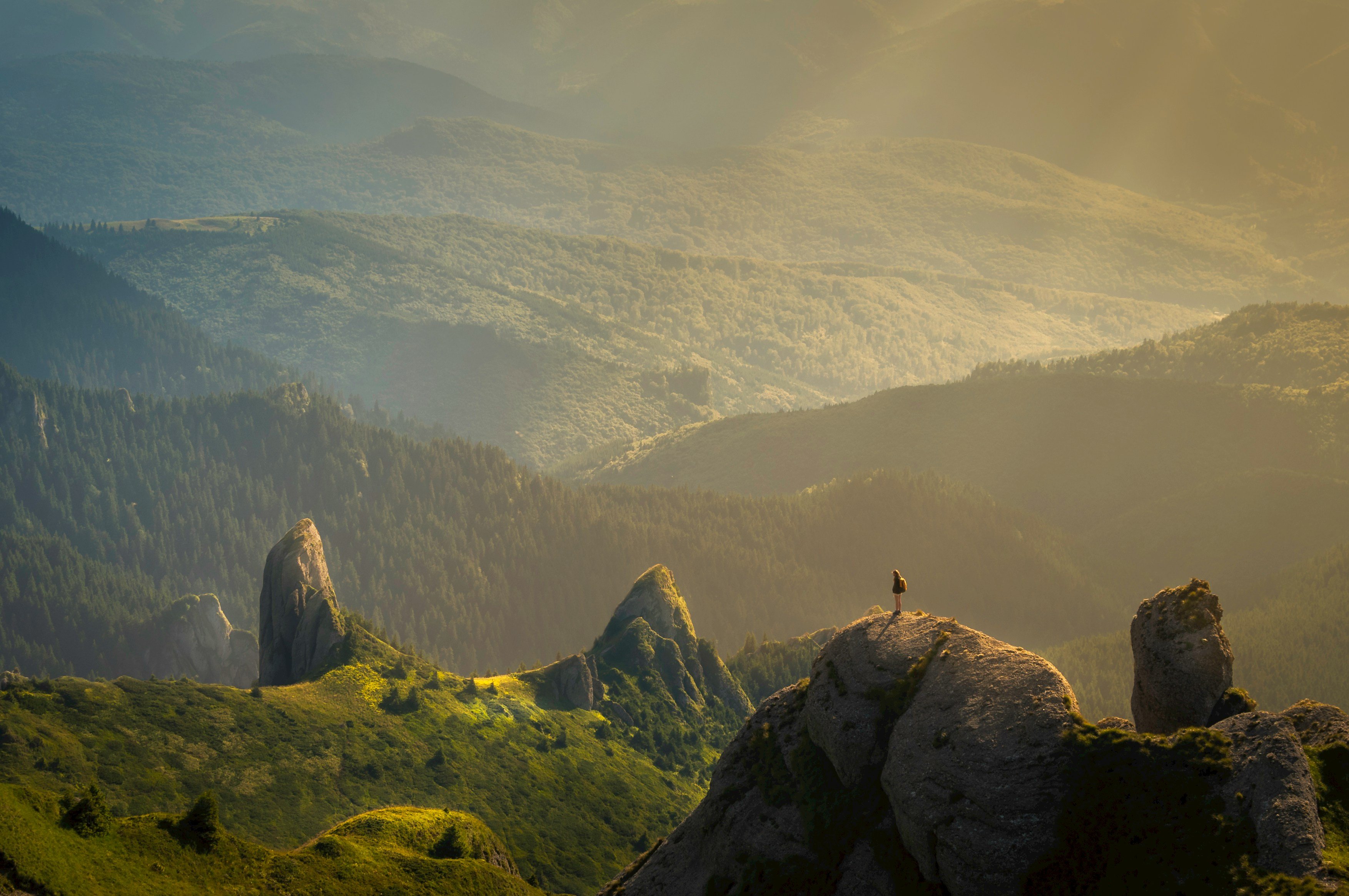 david-marcu-78A265wPiO4-unsplash-1